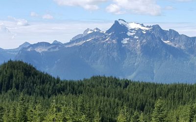 RELEASE: Chinook Forest Partners Purchase 50,747 acres of North Cascades Timberland from Hampton Lumber