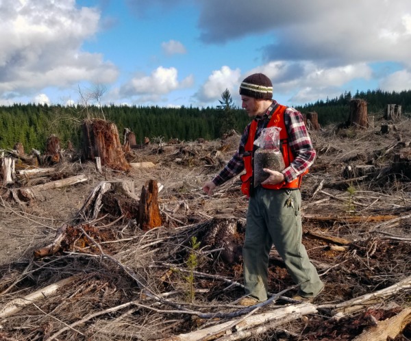 Western Innovator: Creating pollinator habitats in forests