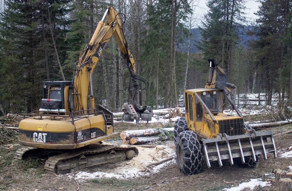 Lawmakers Back Timber Industry as a Way to Reduce Washington’s Carbon Emissions