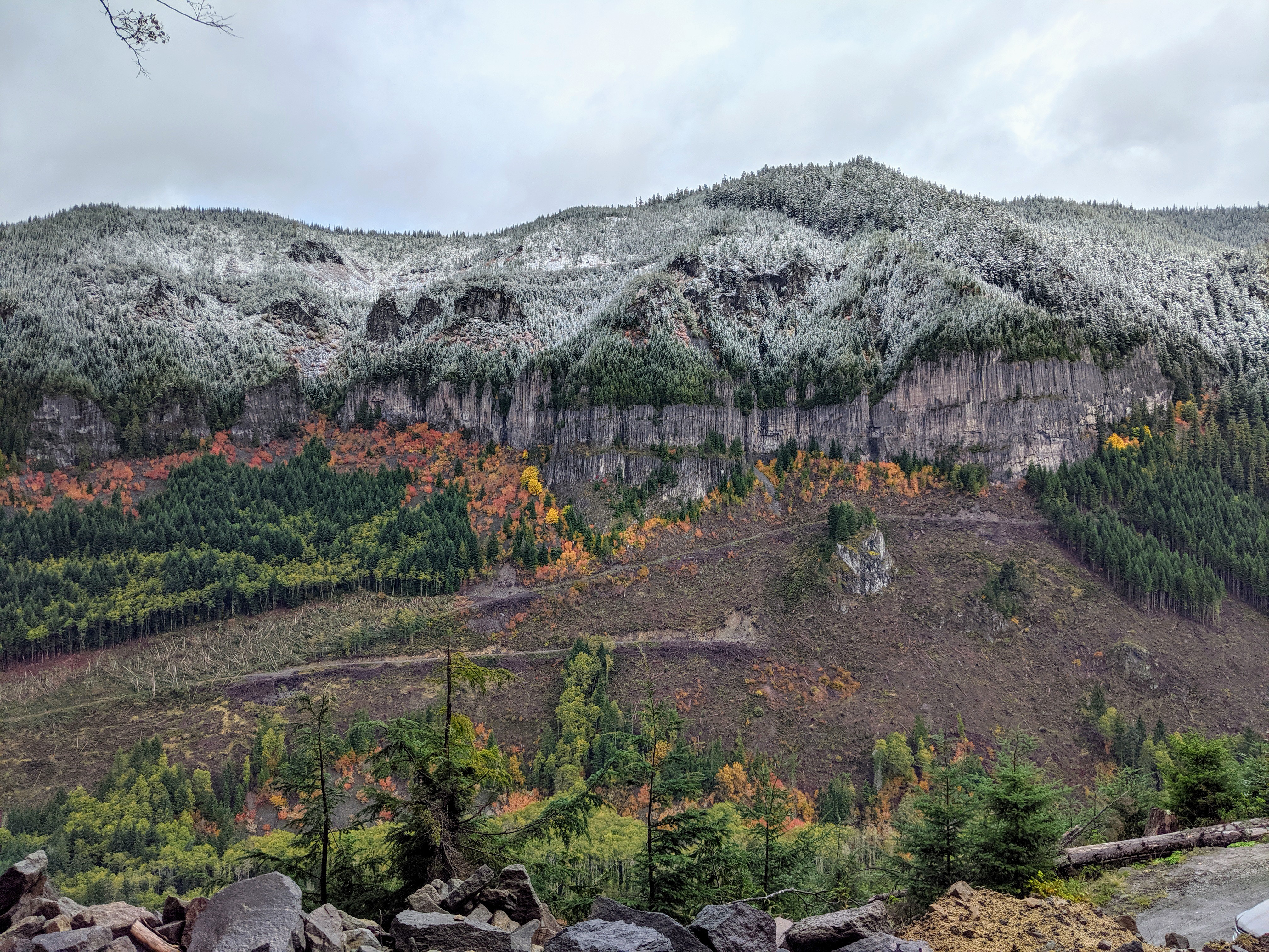 view of Woods